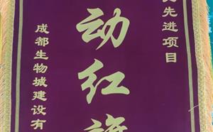 热烈祝贺人才公寓项目获得质量、安全双“流动红旗”