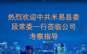热烈欢迎中共米易县委段常委一行莅临公司考察指导